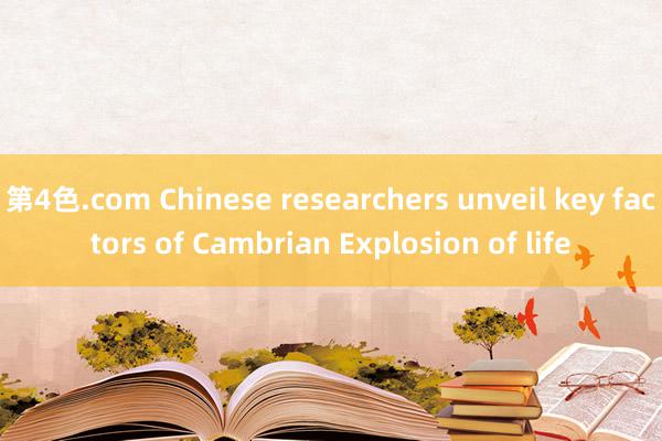第4色.com Chinese researchers unveil key factors of Cambrian Explosion of life