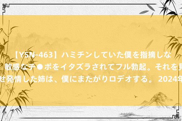 【YSN-463】ハミチンしていた僕を指摘しながらも含み笑いを浮かべ、敏感なチ●ポをイタズラされてフル勃起。それを見て目をトロ~ンとさせ発情した姉は、僕にまたがりロデオする。 2024年7月28日甘肃天水市瀛池果菜批发市集价钱行情