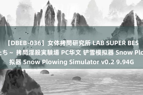 【DBEB-036】女体拷問研究所 LAB SUPER BEST ～イキ殺される生贄たち～ 拷問淫殺実験場 PC华文 铲雪模拟器 Snow Plowing Simulator v0.2 9.94G
