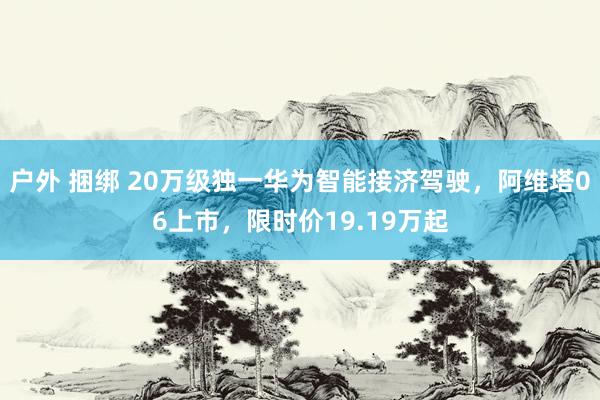 户外 捆绑 20万级独一华为智能接济驾驶，阿维塔06上市，限时价19.19万起